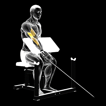 Cable One-Arm Preacher Curl demonstration