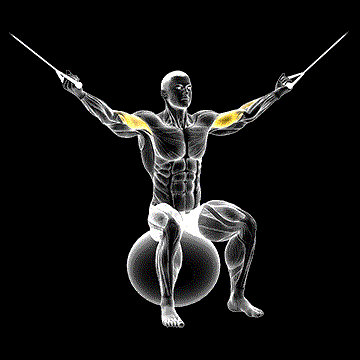 Cable Overhead Curl on Exercise Ball demonstration