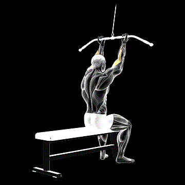 Cable Pulldown Bicep Curl demonstration