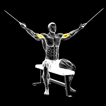 Cable Seated Overhead Curl demonstration