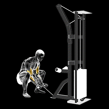Cable Squatting Curl demonstration