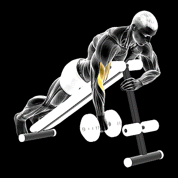 Dumbbell One-Arm Reverse Spider Curl demonstration