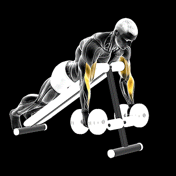Dumbbell Prone Incline Hammer Curl demonstration