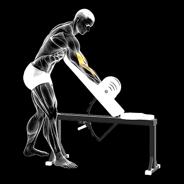 Dumbbell Standing One-Arm Curl Over Incline Bench demonstration
