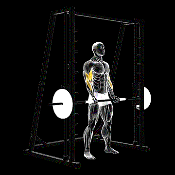 Smith Bicep Curl demonstration