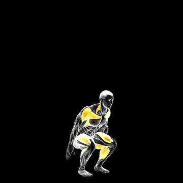Squat to Overhead Reach demonstration