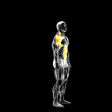 Posterior Step to Overhead Reach demonstration