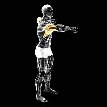 Push-and-Pull Bodyweight demonstration