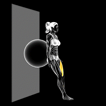 Stability Ball One-Leg Squat demonstration