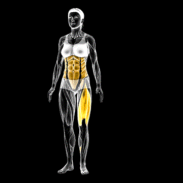 One-Leg Transverse Bend demonstration