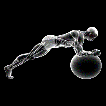 Stability Ball Front Plank demonstration