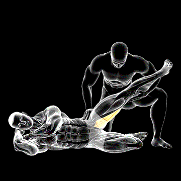 Assisted Side-Lying Adductor Stretch demonstration