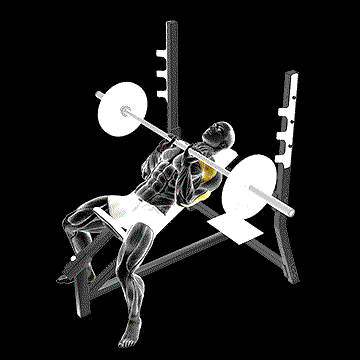 Barbell Incline Close-Grip Bench Press demonstration