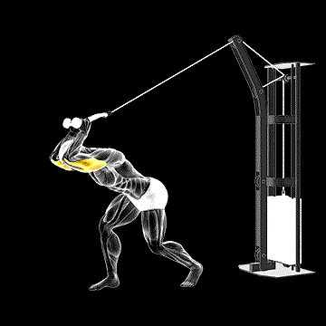 Cable High-Pulley Overhead Tricep Extension demonstration