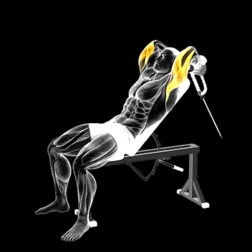 Cable Rope Incline Tricep Extension demonstration
