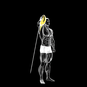 Cable Standing Reverse-Grip One-Arm Overhead Tricep Extension demonstration