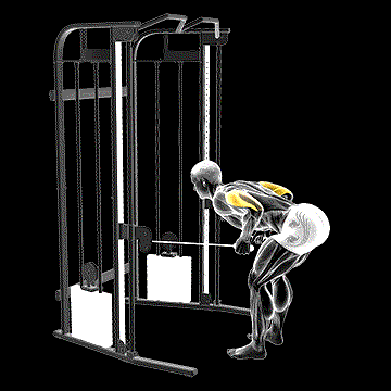 Cable Two-Arm Tricep Kickback demonstration