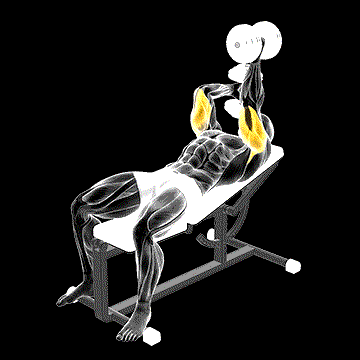 Dumbbell Lying Alternate Extension demonstration
