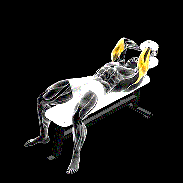Dumbbell Lying Single Extension demonstration
