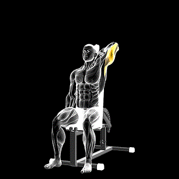 Dumbbell Seated Reverse-Grip One-Arm Overhead Tricep Extension demonstration