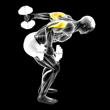 Dumbbell Standing Alternating Tricep Kickback demonstration