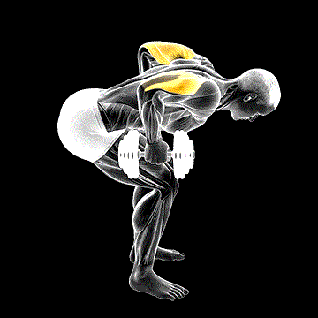 Dumbbell Standing Bent-over Two Arm Triceps Extension demonstration