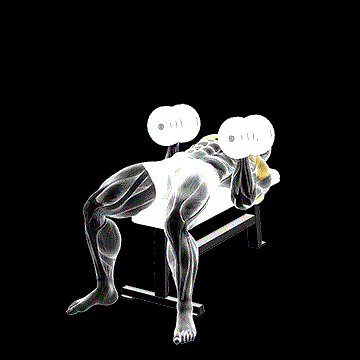 Dumbbell Twisting Bench Press demonstration