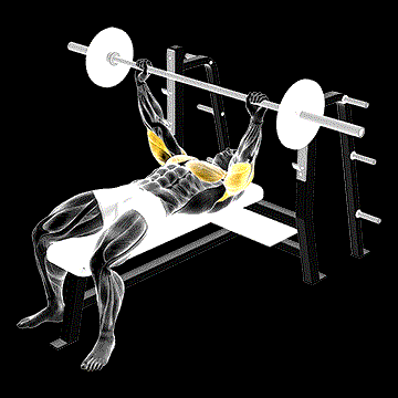 Barbell Pin Press demonstration