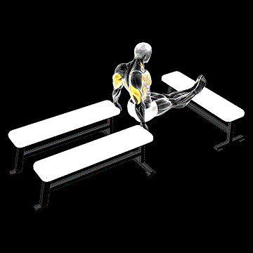 Three-Bench Dip demonstration