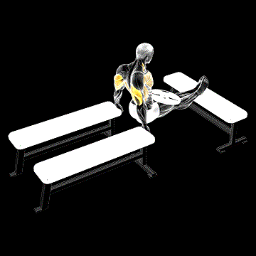 Weighted Three-Bench Dip demonstration