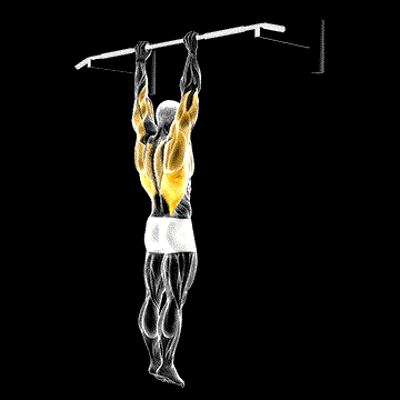 Shoulder Grip Pull-up demonstration