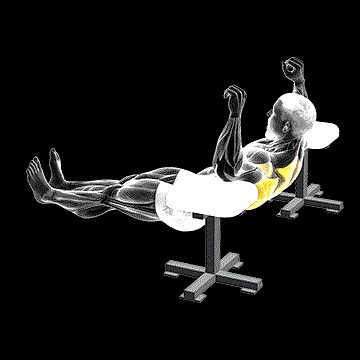 Elbow Lift Reverse Push-up demonstration