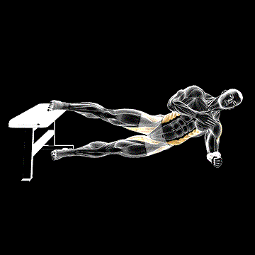 Side Plank Hip Adduction demonstration