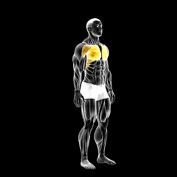 Above-Head Chest Stretch demonstration