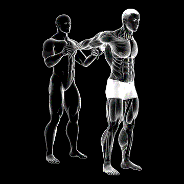 Assisted Standing Chest Stretch demonstration