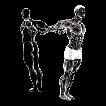 Assisted Pulling Back Chest Stretch demonstration