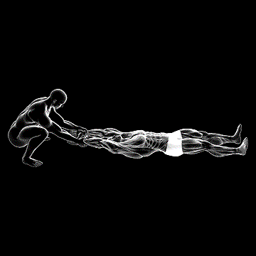 Assisted Straight-Arm Lying Stretch demonstration