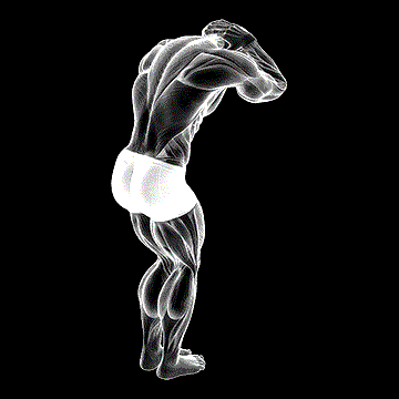 Trap and Neck Stretch demonstration