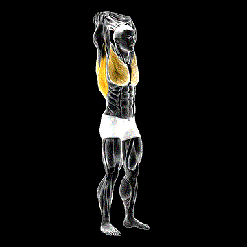 Standing Reach-Up Back Rotation Stretch demonstration