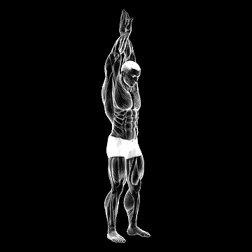 Reach-Up Back Stretch demonstration