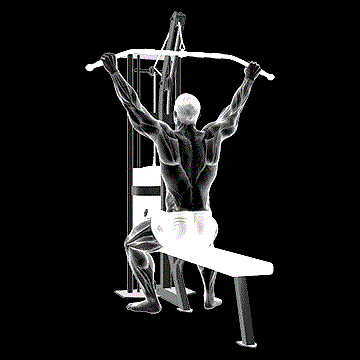Cable Suspension Back Stretch demonstration