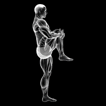 Standing Knee-to-Chest Stretch demonstration