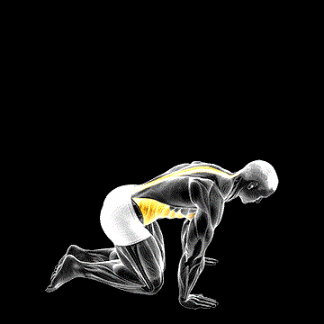 Kneeling Back Rotation Stretch demonstration
