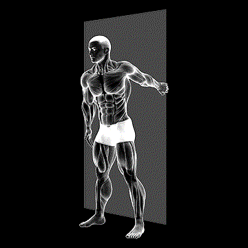Forearm Pronator Stretch demonstration