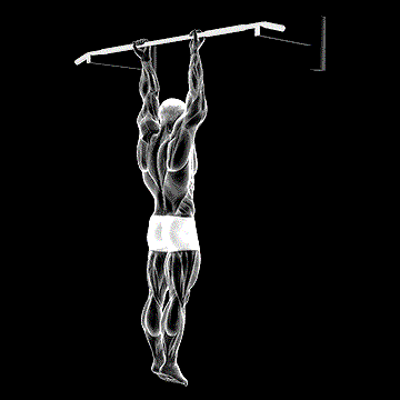 Supination Bar Suspension Stretch demonstration