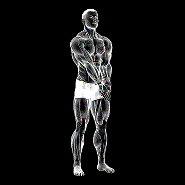 Elbow Extension And Supination Pronation Forearm Stretch demonstration