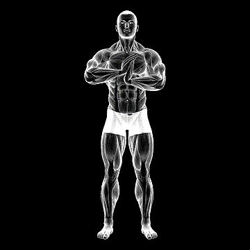 Finger Flexor Stretch demonstration