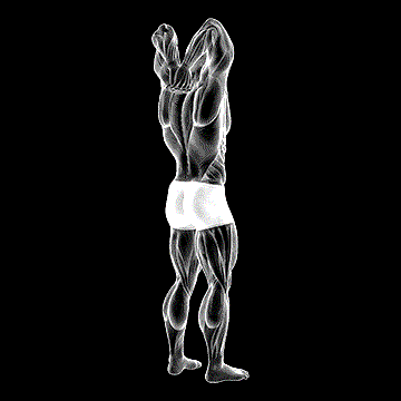Reaching-Down Tricep Stretch demonstration