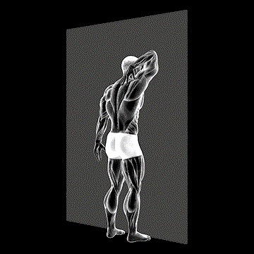 Triceps Stretch Against Wall demonstration