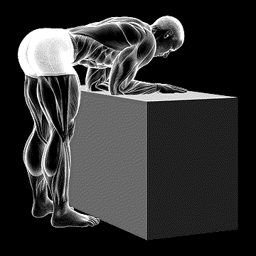 Elbow Extensor Anconeus Stretch demonstration